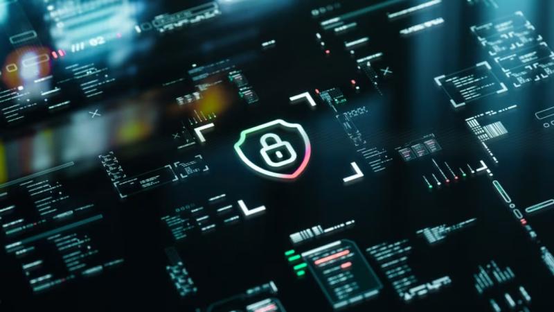 长汀县软件开发公司